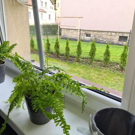 Apartament Przy Rondzie Klodzko Ngoại thất bức ảnh